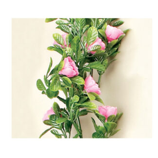 Rosas rosas