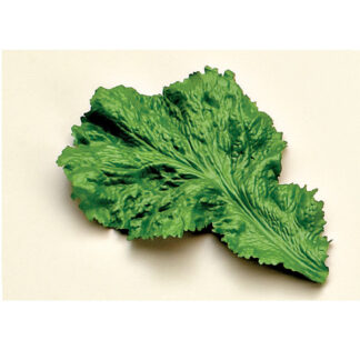 Hoja lechuga