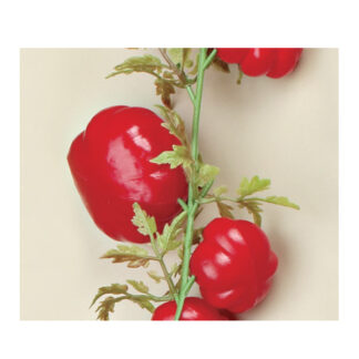Girnalda tomates