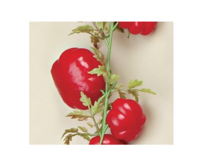 Girnalda tomates