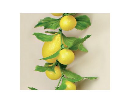 Girnalda limones