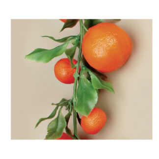Girnalda naranjas