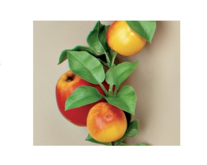Girnalda manzanas