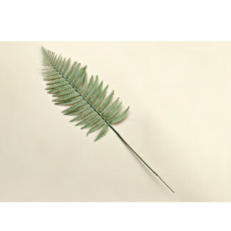 Hoja helecho silvestre